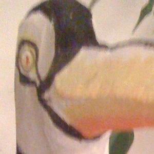 Komischer Vogel